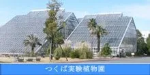 筑波実験植物園